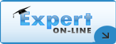 Sistem online de expertiza